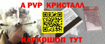 гашик Нарткала