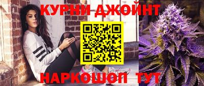 гашик Нарткала
