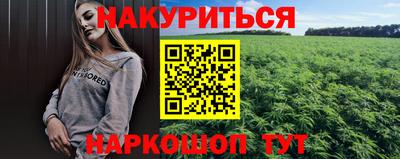 гашик Нарткала